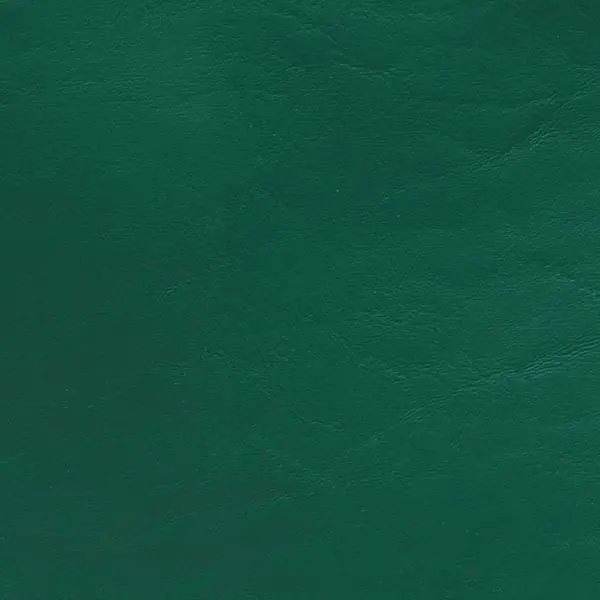 Tracker Boat Knit Back Vinyl 161658 | 54 Inch Dark Green (YD) Seasonal Sale