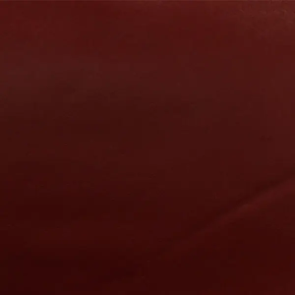 Best Choice Boat Marine Auto RV Seat Vinyl | Dark Red Foam Back Tracker Boats (YD)