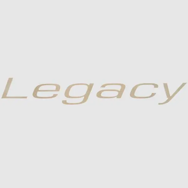 Cheap Weeres Boats Decal | 2012 Legacy 13 5/8 x 2 Inch Light Gold