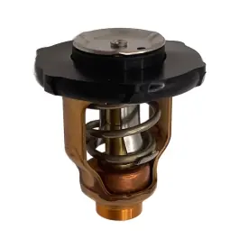 Thermostat | Yamaha 6EK-12411-00-00 Professional Grade