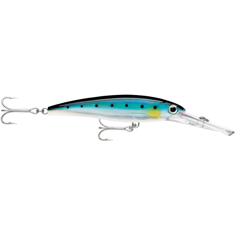 Rapala X-Rap Magnum 15 Blue Sardine Holiday Sale