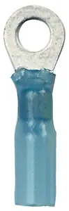New Arrival Ancor, 16-14 #10 Blue H.S. Ring (25), 311325